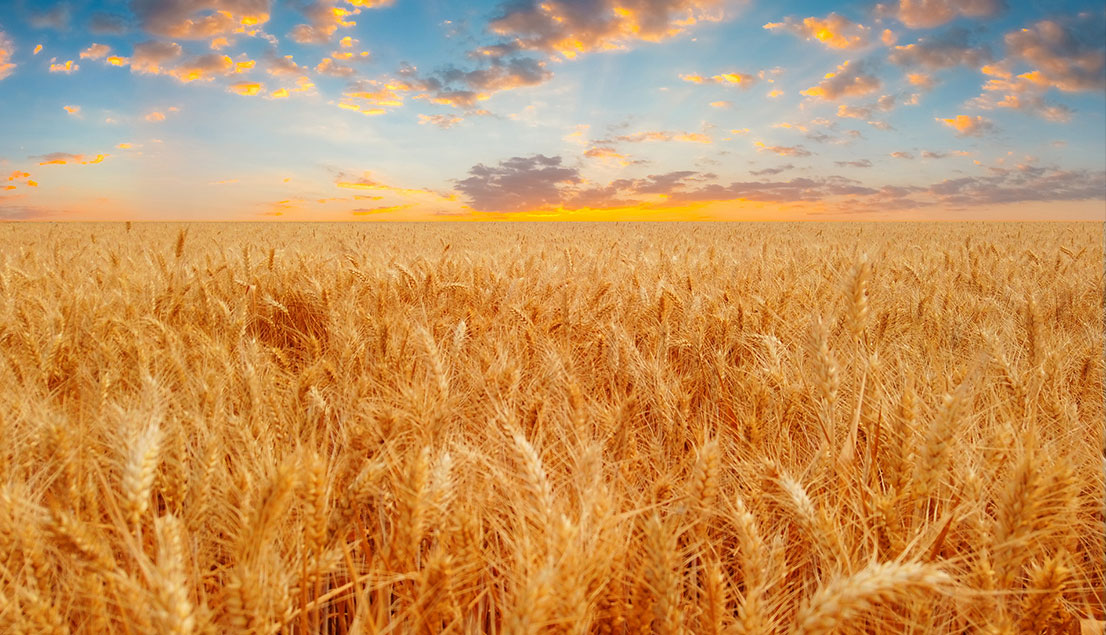 ������ʱ��(�й���)�ٷ���վ