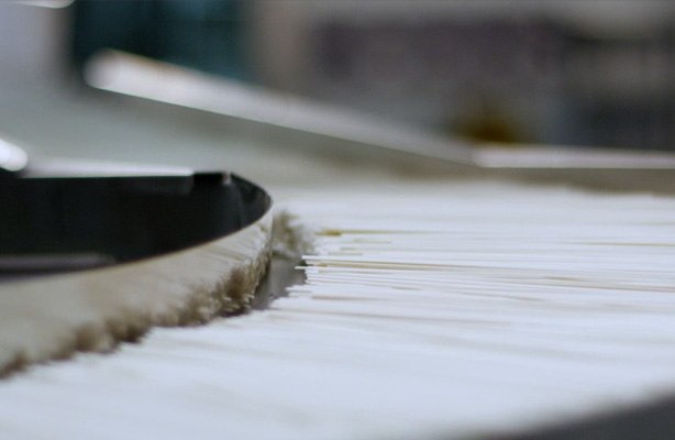 ����Ϊʲô��������