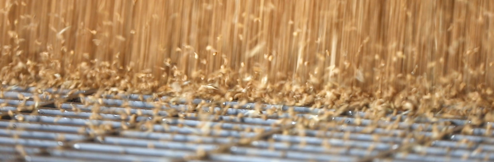 ������ʱ��(�й���)�ٷ���վ